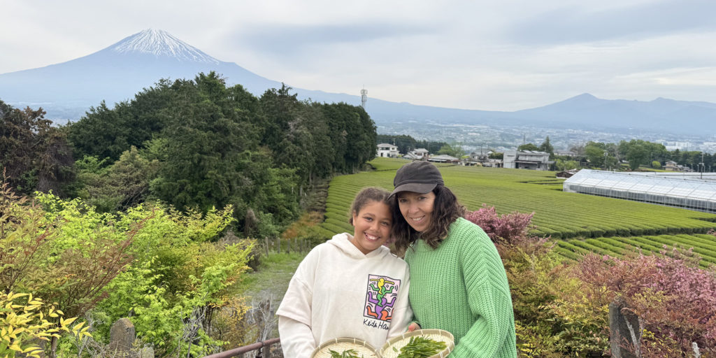  Tea fields with Mt. Fuji in the background